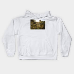 Queen Anne&#39;s Lace at Sunrise Kids Hoodie